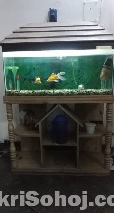 Aquarium full set